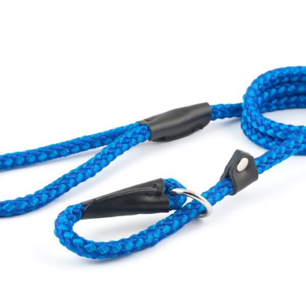 Ancol Nylon Super Rope Lead Blue- 30kg 120x1.0cm
