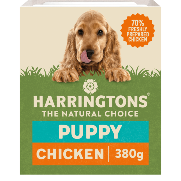 Harringtons Puppy Complete Chicken Trays 380g