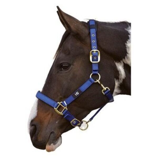 Hy Deluxe Padded Head Collar Navy Cob