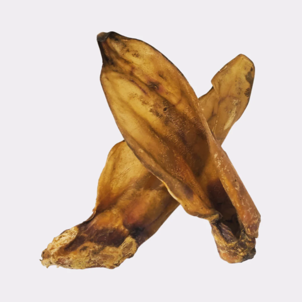 Large Cow Ears - no hair