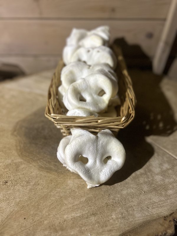 Puffed Pig Snout