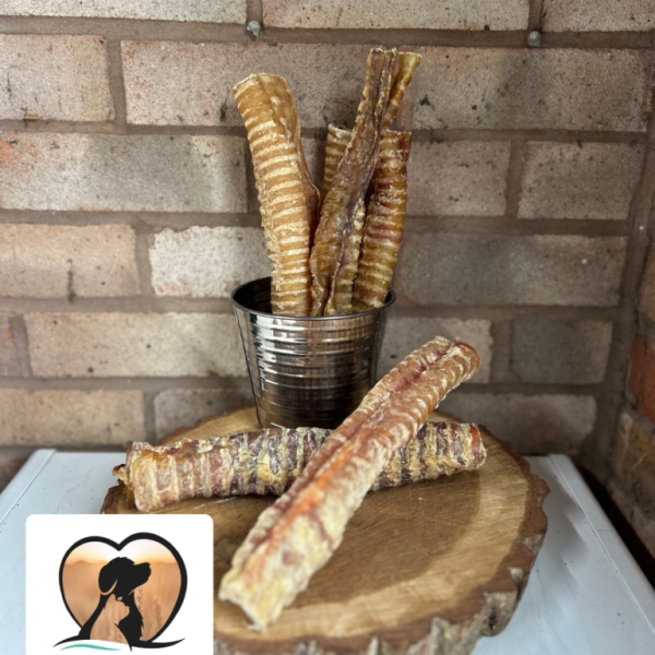 Beef trachea