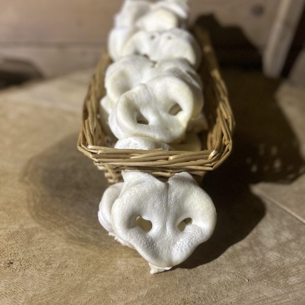 Puffed Pig Snout