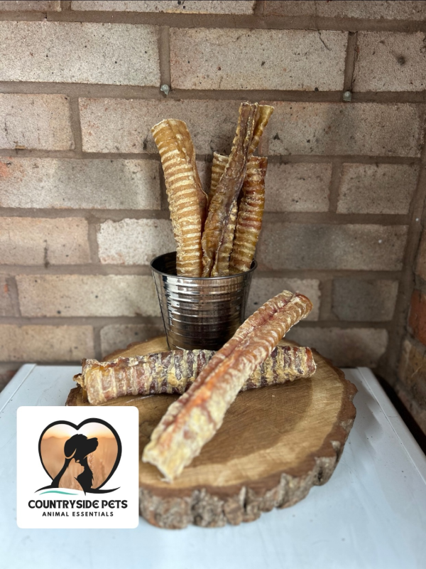 Beef trachea