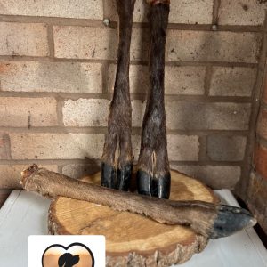 Large venison leg- Hairy