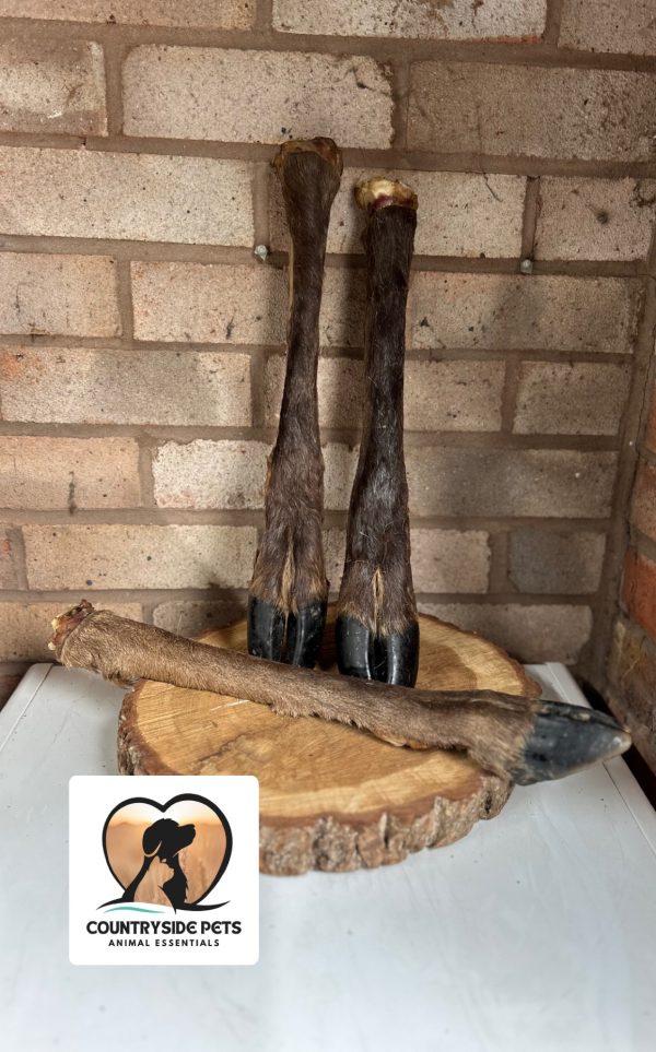 Large venison leg- Hairy