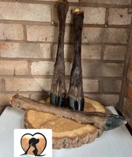 Large venison leg- Hairy