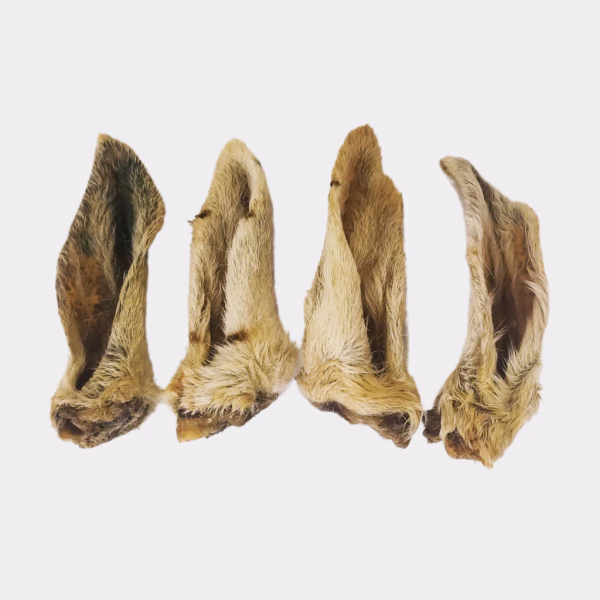 Lamb Ears - with fur/hair