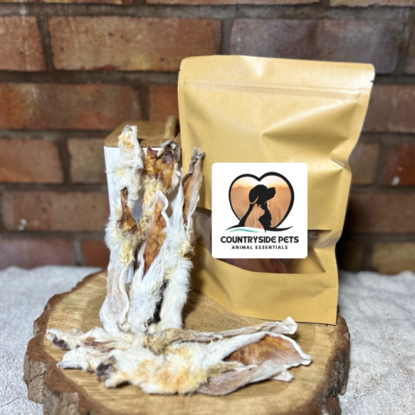 Rabbit Ears - with fur/hair